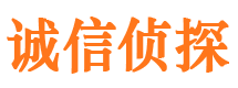 峄城私人侦探